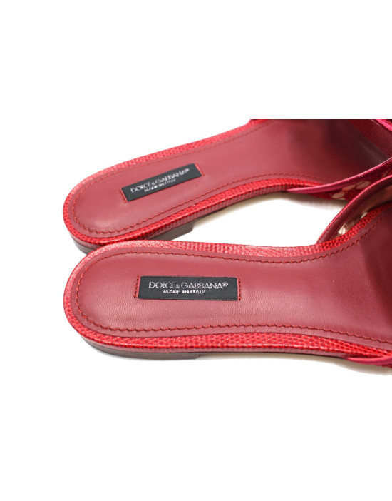 Dolce & Gabbana Ciabattina Gioiello Bordeaux