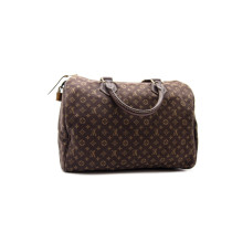Louis Vuitton Speedy Mini Lin