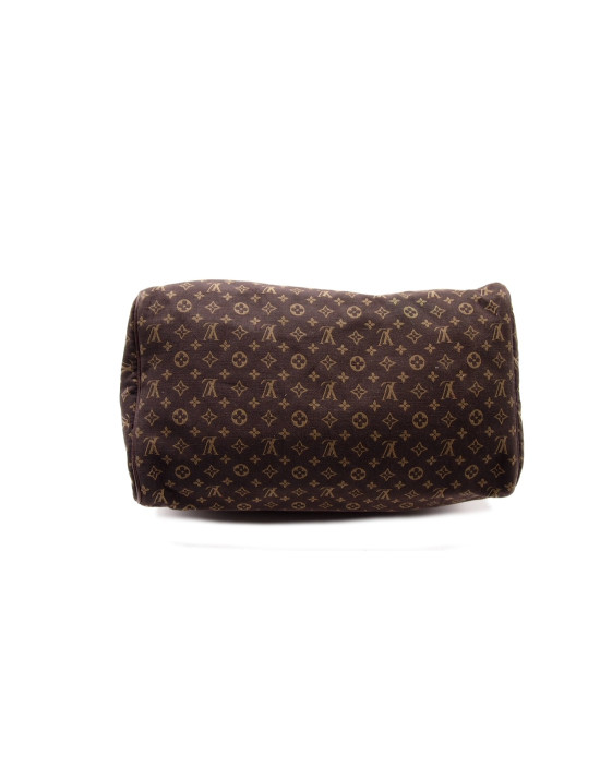 Louis Vuitton Speedy Mini Lin