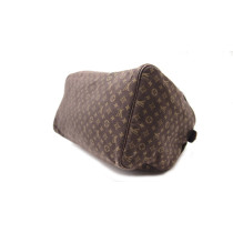 Louis Vuitton Speedy Mini Lin