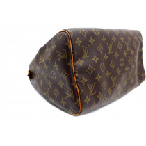 Louis Vuitton Speedy 30 Monogram