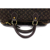 Louis Vuitton Speedy 30 Idylle