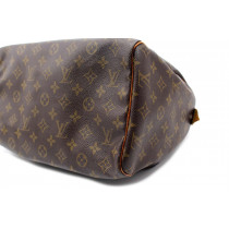 Louis Vuitton Speedy 30 Monogram