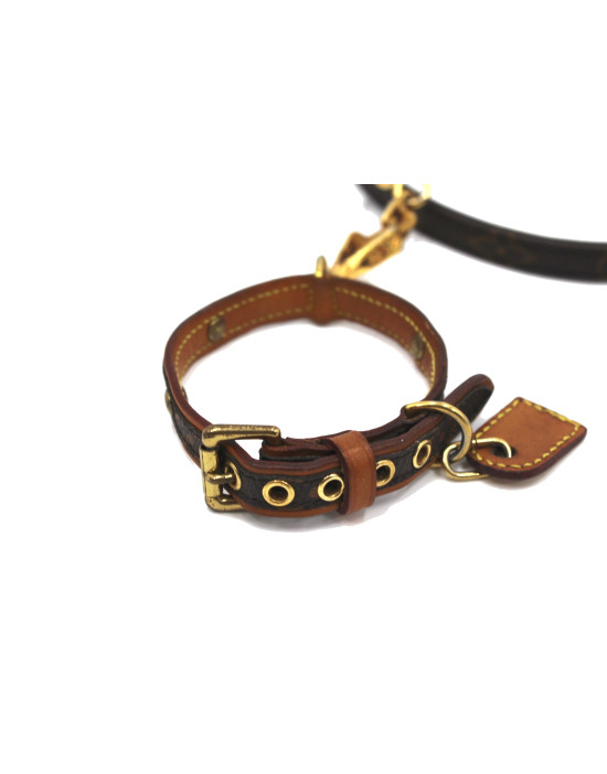 Louis Vuitton Collare Cane Monogram