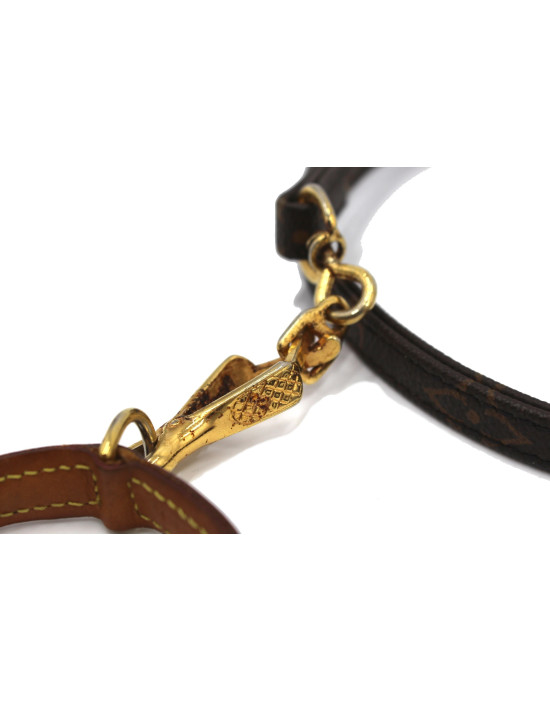Louis Vuitton Collare Cane Monogram