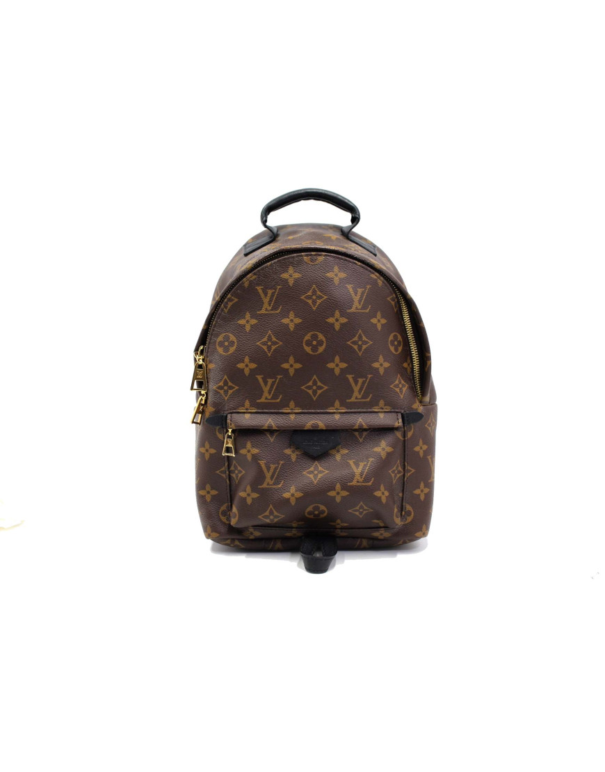 Louis Vuitton Palm Spring Zaino Monogram