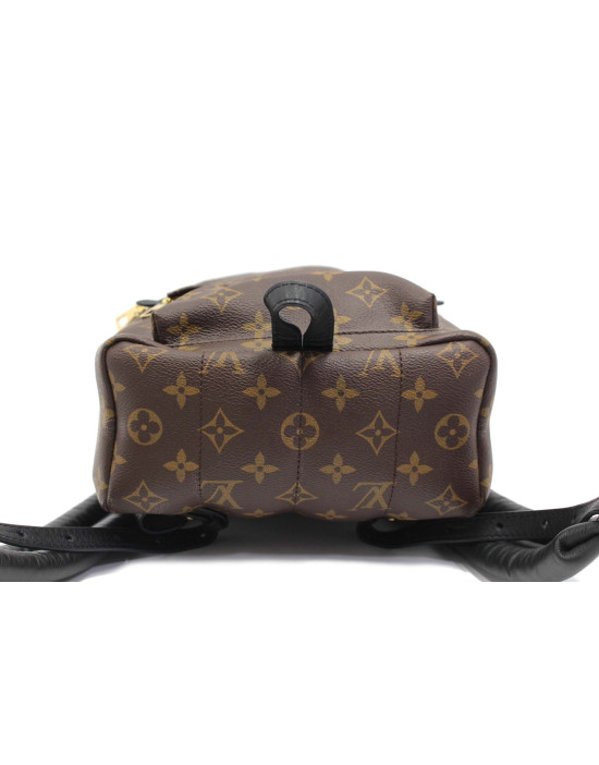 Louis Vuitton Palm Spring Zaino Monogram