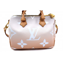 Louis Vuitton Speedy By The Pool Limited Edition