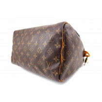 Louis Vuitton Speedy Monogram