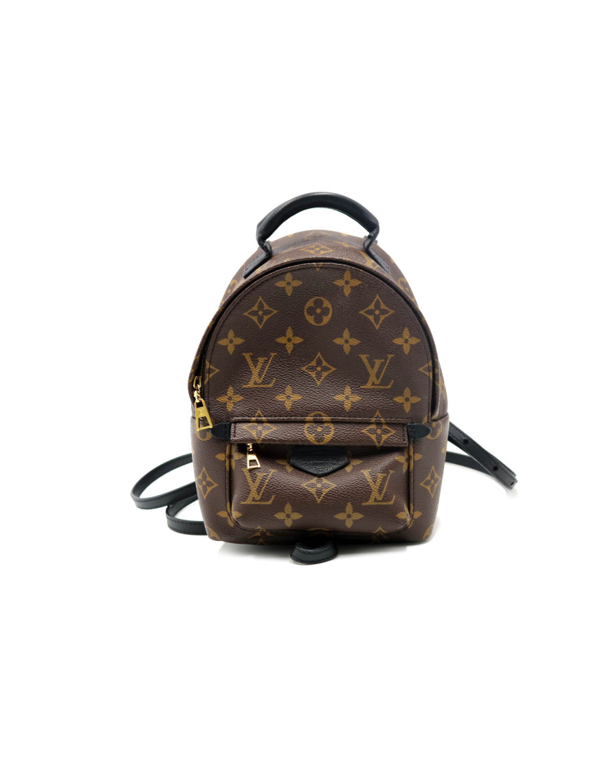 Louis Vuitton Zaino Monogram