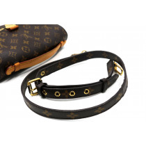 Louis Vuitton Pochette Monogram