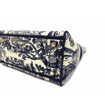 Dior Lady D D-Lite Canvas Blau und Beige