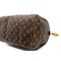 Louis Vuitton Speedy 30 Monogram