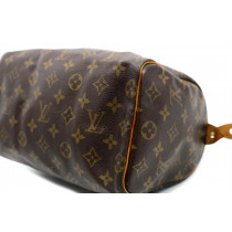 Louis Vuitton Speedy 25 Monogram