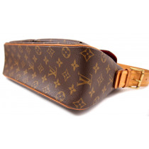 Louis Vuitton Viva Cite Monogram