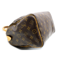 Louis Vuitton Speedy 25 Monogram