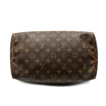 Louis Vuitton Speedy 30 Monogram