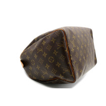 Louis Vuitton Speedy 30 Monogram