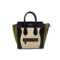 Celine Luggage Pelle Tricolor