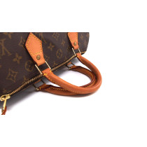 Louis Vuitton Speedy 30 Monogram