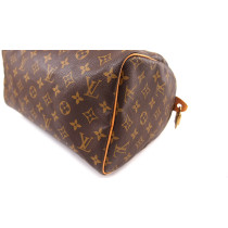 Louis Vuitton Speedy 30 Monogram