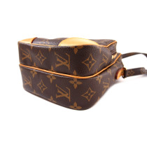 Louis Vuitton Amazon Monogram