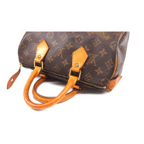 Louis Vuitton Speedy 25 Monogram