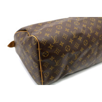 Louis Vuitton Speedy Monogram