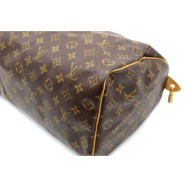 Louis Vuitton Speedy Monogram