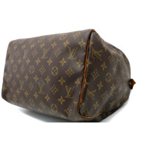 Louis Vuitton Speedy 30 Monogram