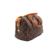 Louis Vuitton Speedy 25 Monogram