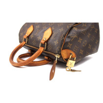 Louis Vuitton Speedy 25 Monogram