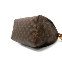 Louis Vuitton Speedy 30 Monogram
