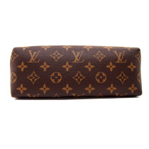 Louis Vuitton Pallas Pochette Limited Monogram