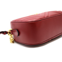 Gucci Camera Bag Limited Pelle Bordeaux