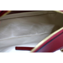 Gucci Camera Bag Limited Pelle Bordeaux