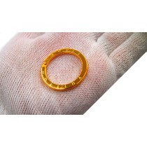 Louis Vuitton Charms Metallo Dorato