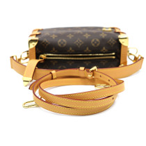 Louis Vuitton Trunk MM Monogram