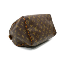 Louis Vuitton Speedy 25 Monogram