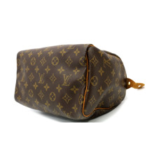 Louis Vuitton Speedy 25 Monogram