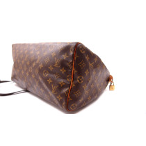 Louis Vuitton Speedy 40 Bandouliere Monogram