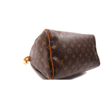 Louis Vuitton Speedy 30 Monogram