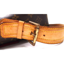 Louis Vuitton Viva Cite Monogram