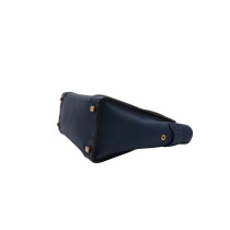 Cèline Luggage Bicolor