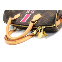 Louis Vuitton Speedy 30 Monogram