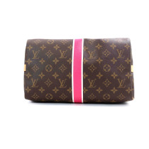 Louis Vuitton Speedy 30 Monogram