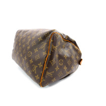 Louis Vuitton Speedy 30 Monogram