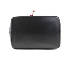 Louis Vuitton Noè Pelle Multicolor