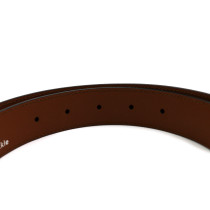 Gucci Cintura Bicolor Pelle Marrone e Oro