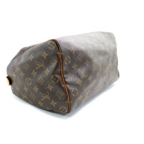 Louis Vuitton Speedy 30 Monogram
